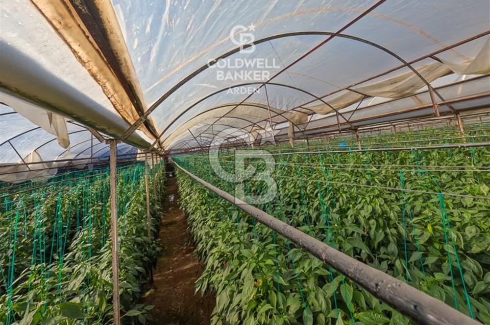 ANTALYA DEMRE KÖŞKERLERDE CB ARDENDEN 7420 M2 SATILIK TARLA