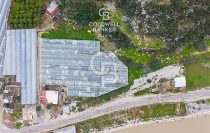 ANTALYA DEMRE KÖŞKERLERDE CB ARDENDEN 7420 M2 SATILIK TARLA