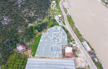 ANTALYA DEMRE KÖŞKERLERDE CB ARDENDEN 7420 M2 SATILIK TARLA