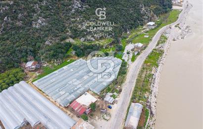 ANTALYA DEMRE KÖŞKERLERDE CB ARDENDEN 7420 M2 SATILIK TARLA