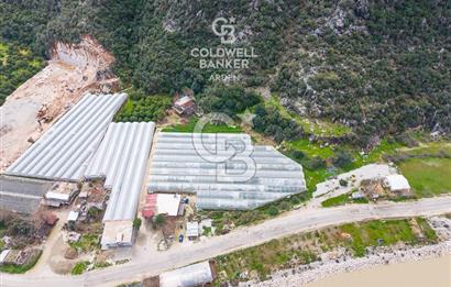 ANTALYA DEMRE KÖŞKERLERDE CB ARDENDEN 7420 M2 SATILIK TARLA