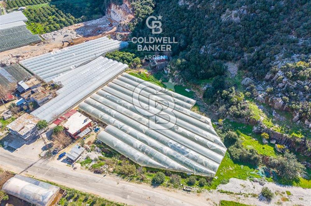 ANTALYA DEMRE KÖŞKERLERDE CB ARDENDEN 7420 M2 SATILIK TARLA