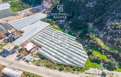 ANTALYA DEMRE KÖŞKERLERDE CB ARDENDEN 7420 M2 SATILIK TARLA