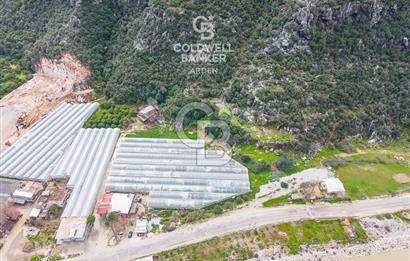 ANTALYA DEMRE KÖŞKERLERDE CB ARDENDEN 7420 M2 SATILIK TARLA