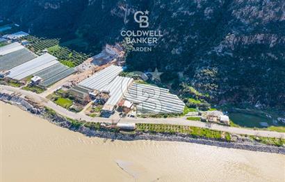 ANTALYA DEMRE KÖŞKERLERDE CB ARDENDEN 7420 M2 SATILIK TARLA