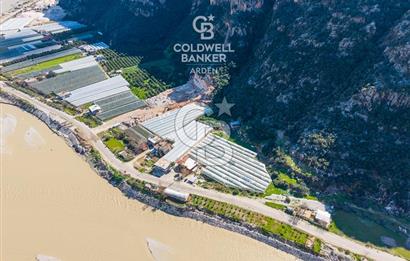 ANTALYA DEMRE KÖŞKERLERDE CB ARDENDEN 7420 M2 SATILIK TARLA