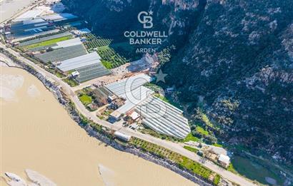 ANTALYA DEMRE KÖŞKERLERDE CB ARDENDEN 7420 M2 SATILIK TARLA