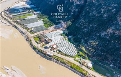 ANTALYA DEMRE KÖŞKERLERDE CB ARDENDEN 7420 M2 SATILIK TARLA