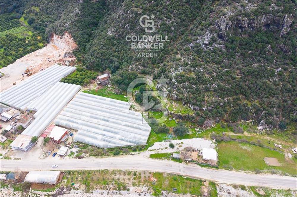 ANTALYA DEMRE KÖŞKERLERDE CB ARDENDEN 7420 M2 SATILIK TARLA