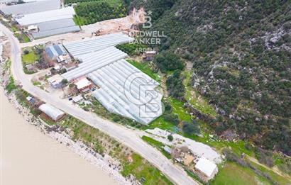 ANTALYA DEMRE KÖŞKERLERDE CB ARDENDEN 7420 M2 SATILIK TARLA