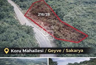SAKARYA GEYVE KORU MAHALLESİ'NDE SATILIK 834,27 m² ARSA - 6 - 335813