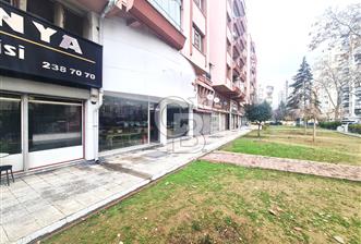 NALÇACI DA İKİ KATLI -ÇİFT CEPHELİ MÜKEMMEL MAĞAZA - 1 - 335714