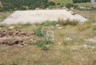 4.000 m² TARLA – YATIRIM VE KULLANIM POTANSİYELİ - 4 - 335687