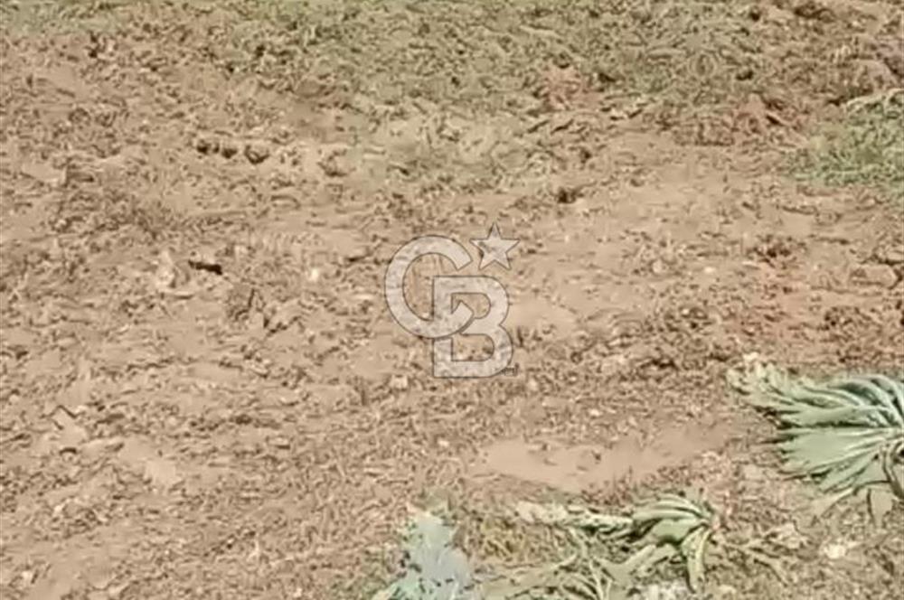 4.000 m² TARLA – YATIRIM VE KULLANIM POTANSİYELİ