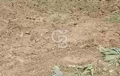 4.000 m² TARLA – YATIRIM VE KULLANIM POTANSİYELİ