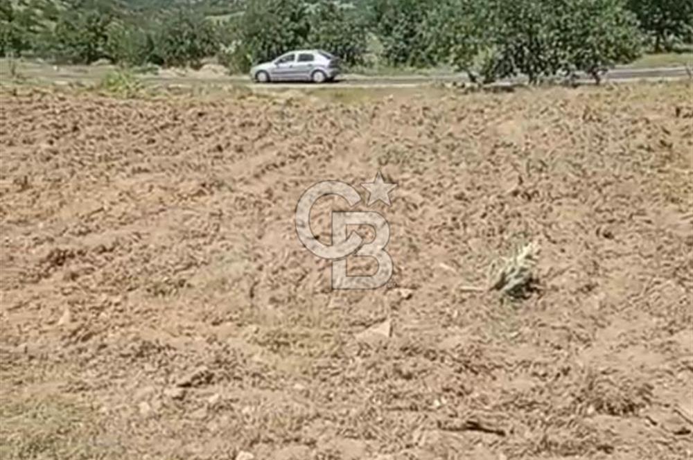 4.000 m² TARLA – YATIRIM VE KULLANIM POTANSİYELİ