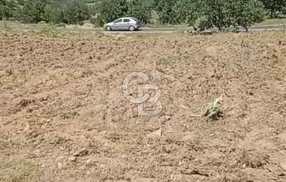 4.000 m² TARLA – YATIRIM VE KULLANIM POTANSİYELİ