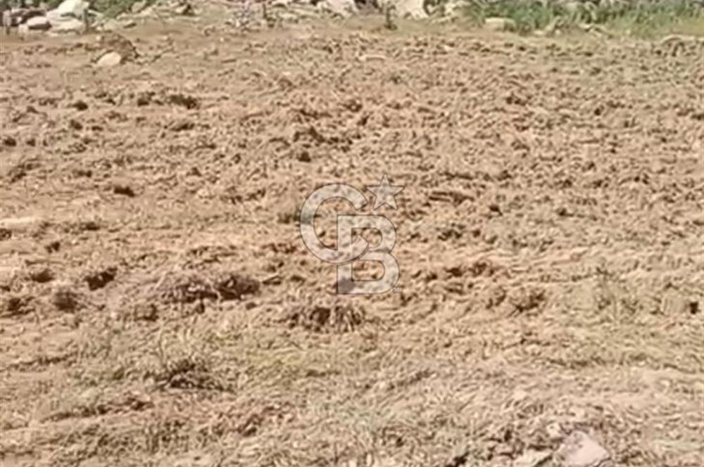 4.000 m² TARLA – YATIRIM VE KULLANIM POTANSİYELİ