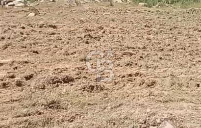 4.000 m² TARLA – YATIRIM VE KULLANIM POTANSİYELİ