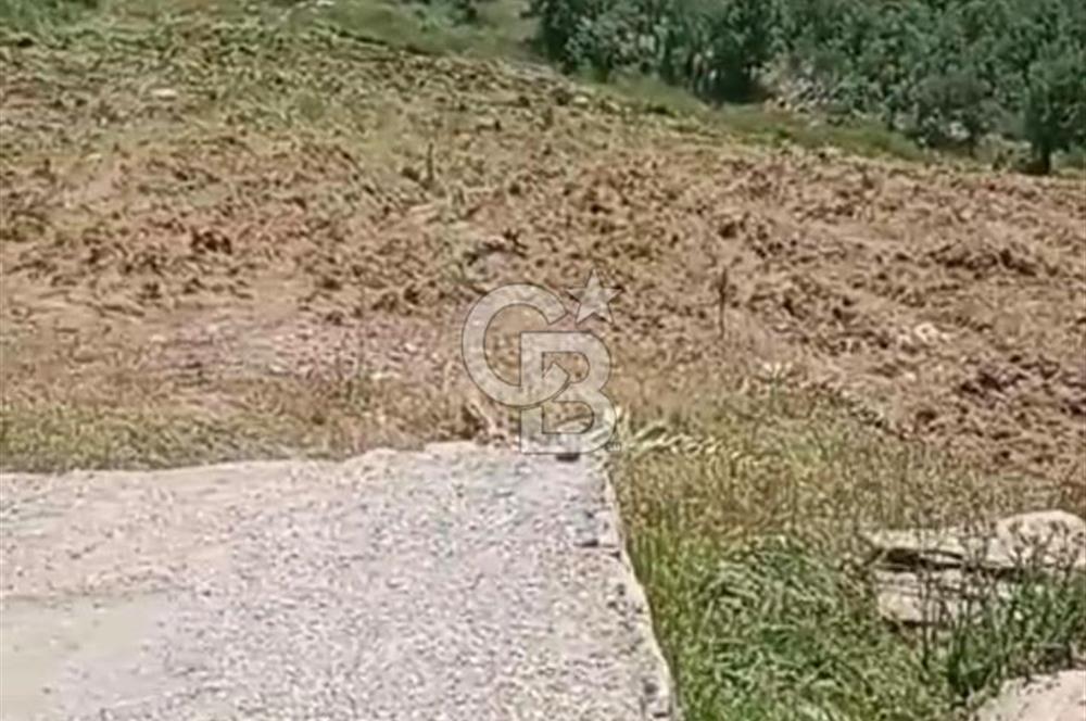 4.000 m² TARLA – YATIRIM VE KULLANIM POTANSİYELİ