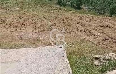 4.000 m² TARLA – YATIRIM VE KULLANIM POTANSİYELİ