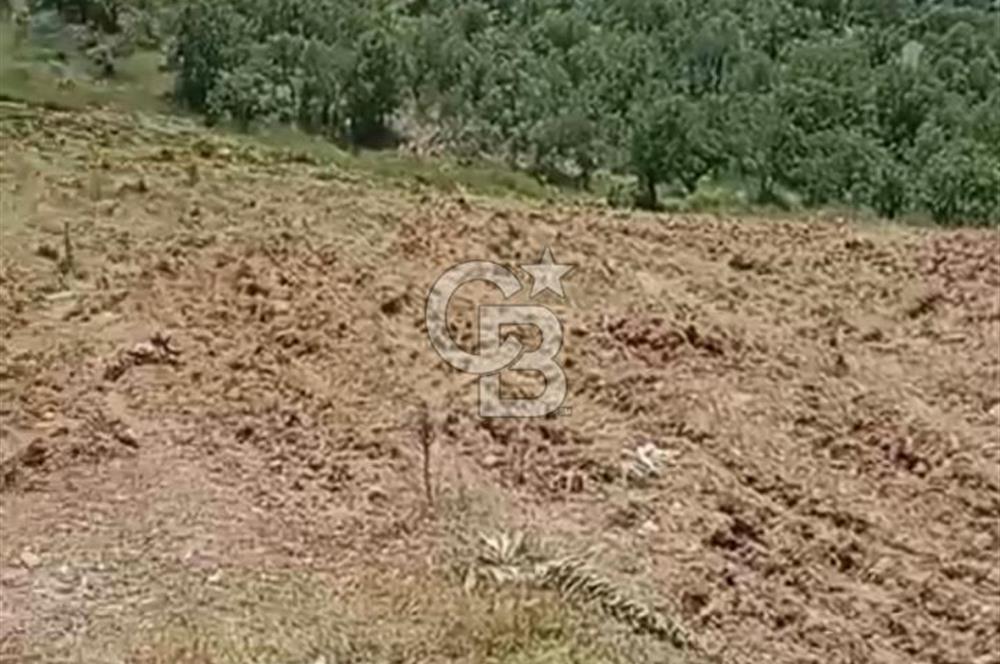 4.000 m² TARLA – YATIRIM VE KULLANIM POTANSİYELİ