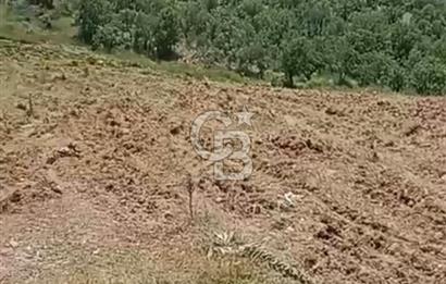 4.000 m² TARLA – YATIRIM VE KULLANIM POTANSİYELİ