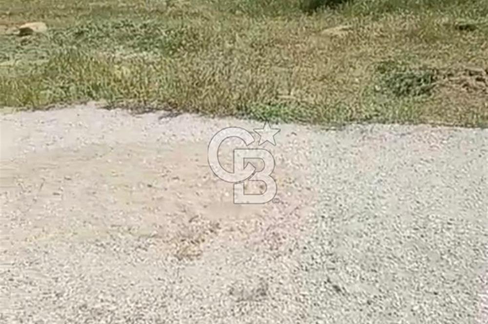 4.000 m² TARLA – YATIRIM VE KULLANIM POTANSİYELİ