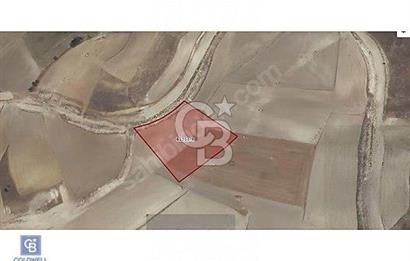 YENİMAHALLE SUSUZ İMAR BÖLGESİNDE 55 m² SPOR ALANI İMARLI