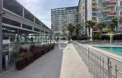 Mavişehir Soyak Optimus Havuz Manzaralı Kapalı Mutfak 2+1 Daire