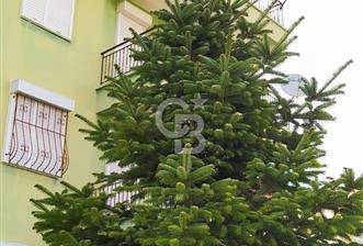 FIRSAT !!! UZUNOLUK MAHALLESİ SİTE İÇİ 2+1 EŞYALI MÜKEMMEL DAİRE - 10 - 335854