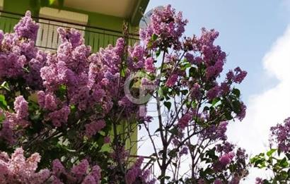 FIRSAT !!! UZUNOLUK MAHALLESİ SİTE İÇİ 2+1 EŞYALI MÜKEMMEL DAİRE