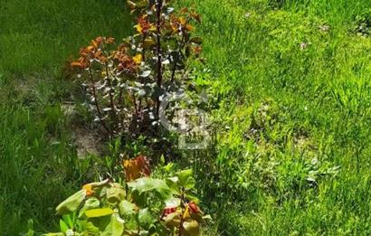 FIRSAT !!! UZUNOLUK MAHALLESİ SİTE İÇİ 2+1 EŞYALI MÜKEMMEL DAİRE