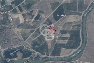 Sakarya Pamukova Eğriçay'da 4.887 m² Tarla Yol Su Mevcut - 1 - 335851