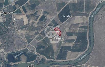 Sakarya Pamukova Eğriçay'da 4.887 m² Tarla Yol Su Mevcut