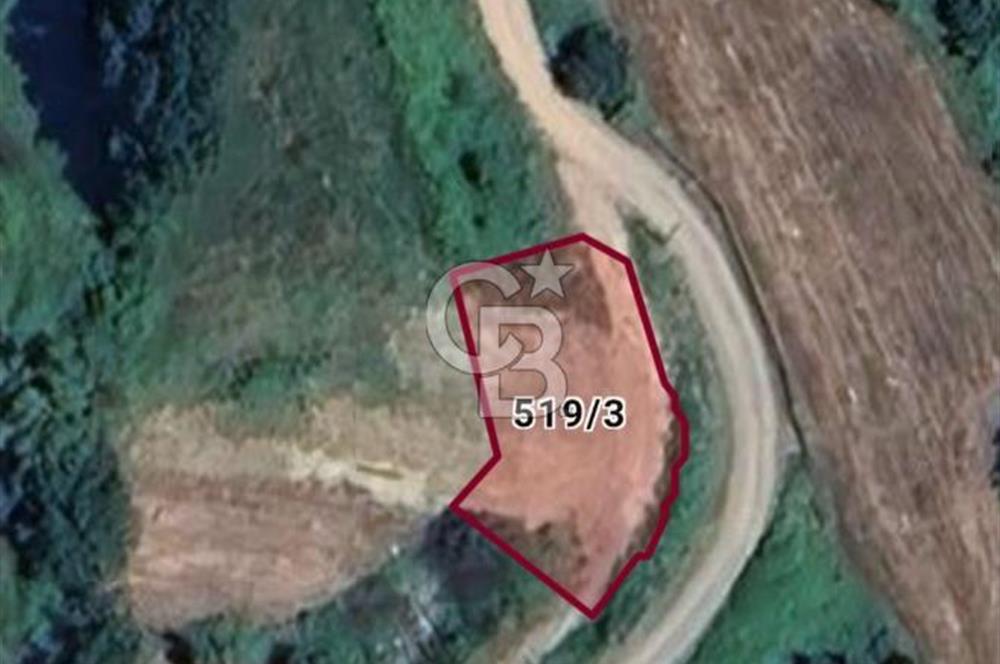 YALOVA TERMAL AKKÖYDE MUHTEŞEM DENİZ VE DOĞA MANZARALI 503M2 ARSA