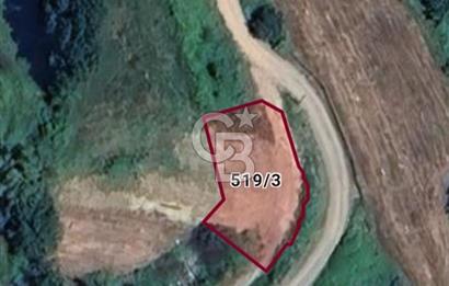 YALOVA TERMAL AKKÖYDE MUHTEŞEM DENİZ VE DOĞA MANZARALI 503M2 ARSA