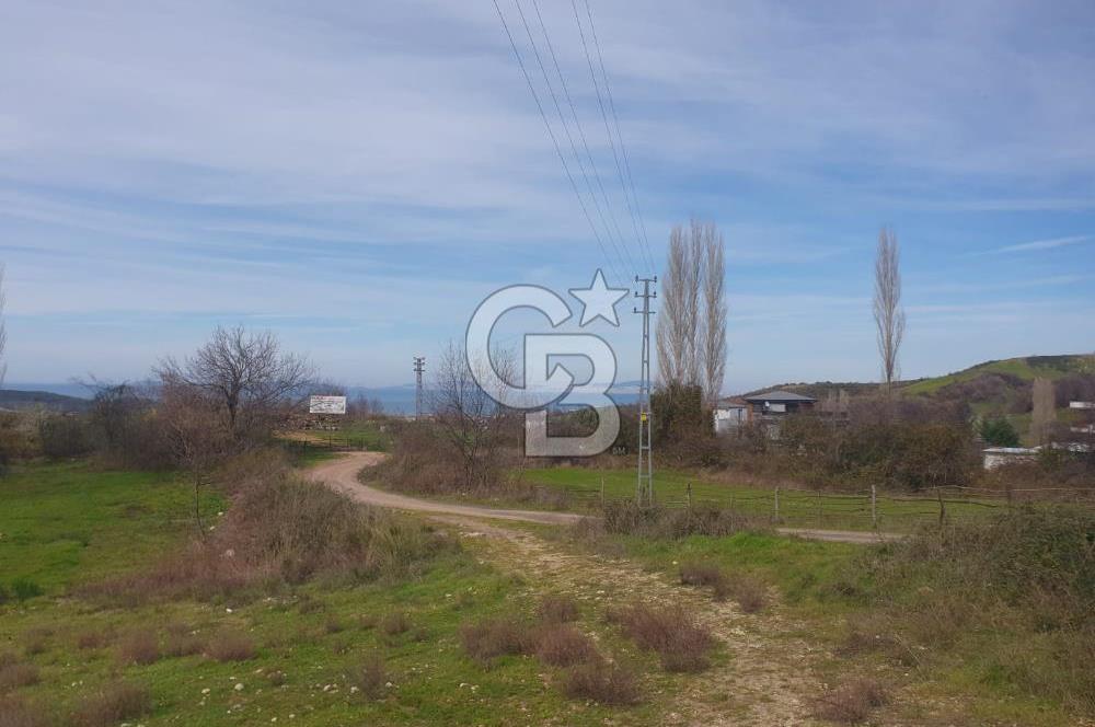 YALOVA TERMAL AKKÖYDE MUHTEŞEM DENİZ VE DOĞA MANZARALI 503M2 ARSA