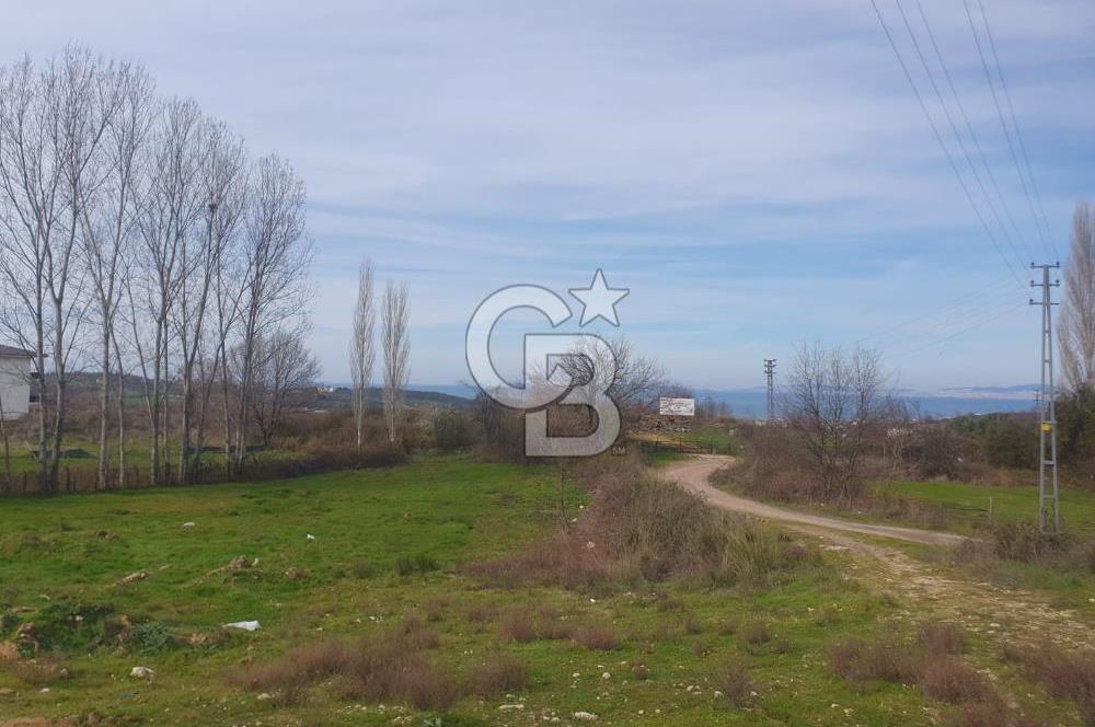 YALOVA TERMAL AKKÖYDE MUHTEŞEM DENİZ VE DOĞA MANZARALI 503M2 ARSA