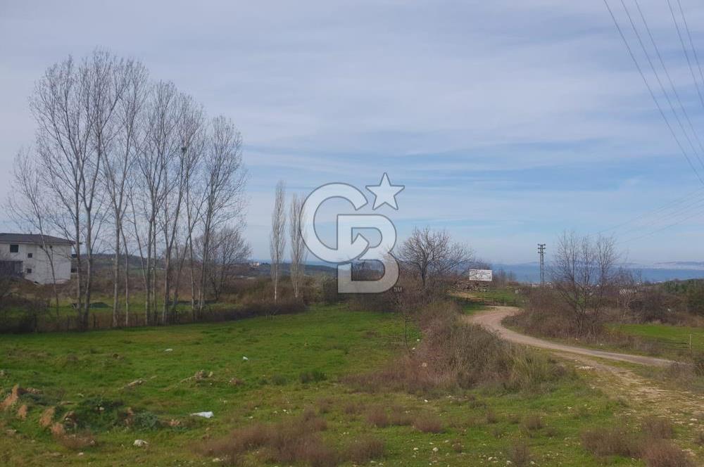 YALOVA TERMAL AKKÖYDE MUHTEŞEM DENİZ VE DOĞA MANZARALI 503M2 ARSA