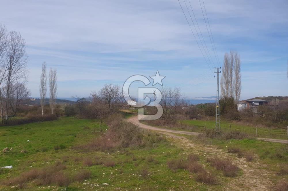 YALOVA TERMAL AKKÖYDE MUHTEŞEM DENİZ VE DOĞA MANZARALI 503M2 ARSA