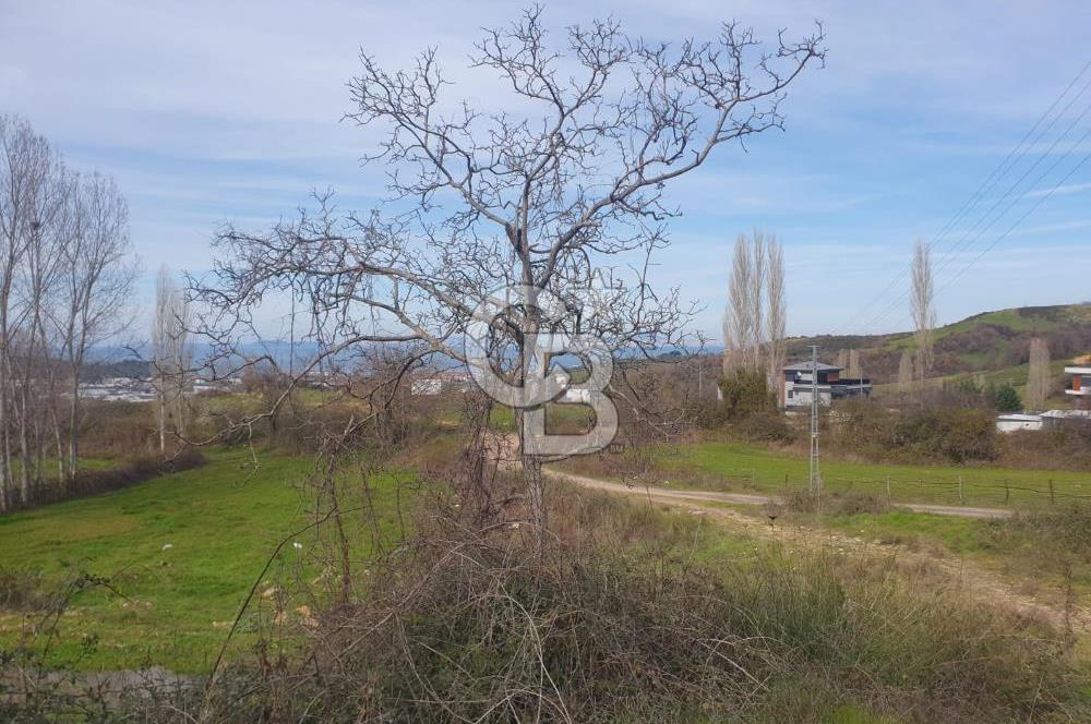 YALOVA TERMAL AKKÖYDE MUHTEŞEM DENİZ VE DOĞA MANZARALI 503M2 ARSA