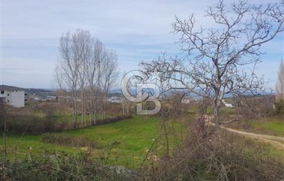 YALOVA TERMAL AKKÖYDE MUHTEŞEM DENİZ VE DOĞA MANZARALI 503M2 ARSA