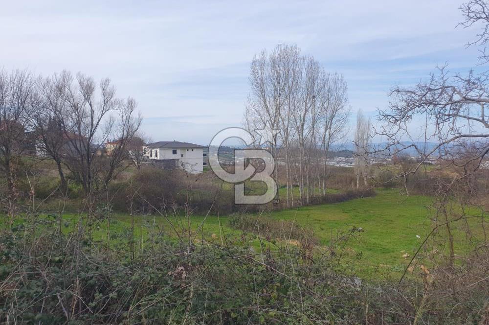 YALOVA TERMAL AKKÖYDE MUHTEŞEM DENİZ VE DOĞA MANZARALI 503M2 ARSA