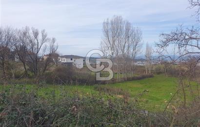 YALOVA TERMAL AKKÖYDE MUHTEŞEM DENİZ VE DOĞA MANZARALI 503M2 ARSA