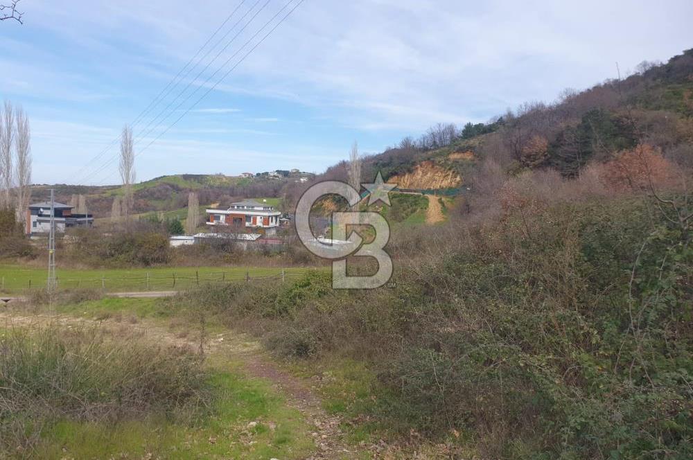 YALOVA TERMAL AKKÖYDE MUHTEŞEM DENİZ VE DOĞA MANZARALI 503M2 ARSA