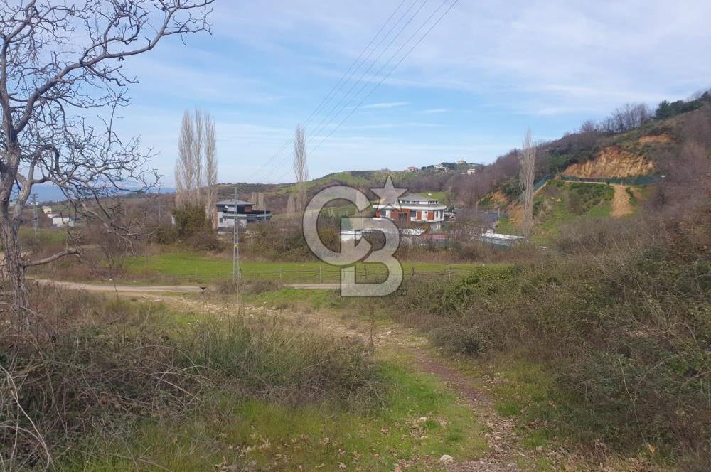 YALOVA TERMAL AKKÖYDE MUHTEŞEM DENİZ VE DOĞA MANZARALI 503M2 ARSA