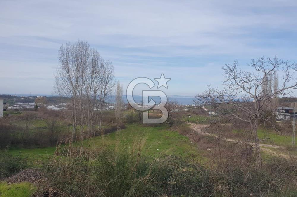 YALOVA TERMAL AKKÖYDE MUHTEŞEM DENİZ VE DOĞA MANZARALI 503M2 ARSA