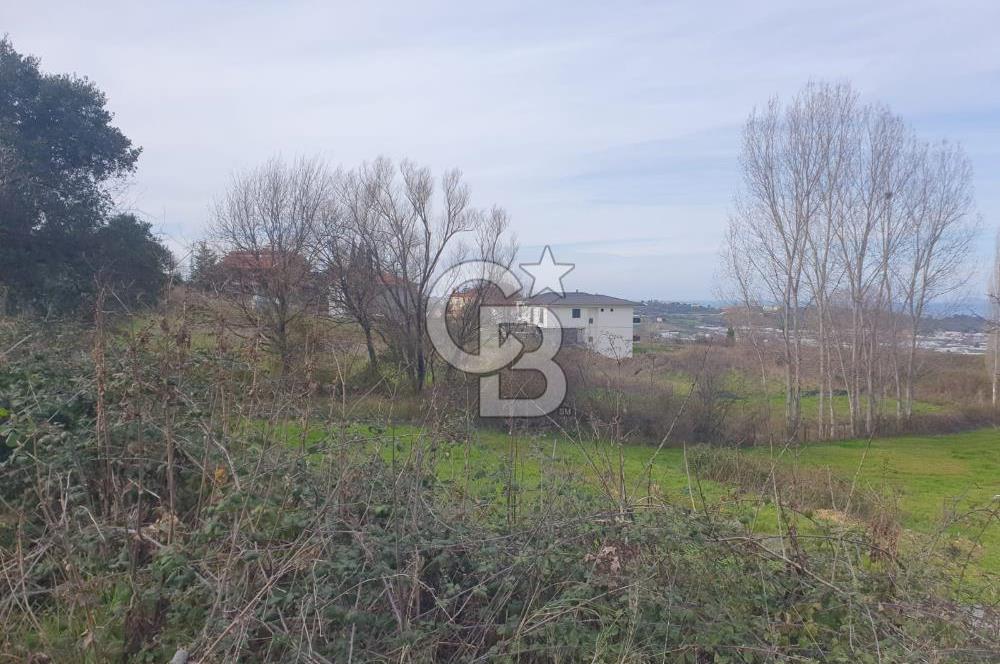 YALOVA TERMAL AKKÖYDE MUHTEŞEM DENİZ VE DOĞA MANZARALI 503M2 ARSA