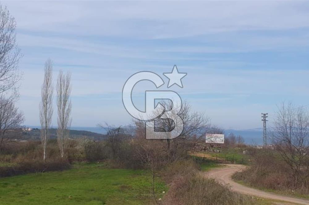 YALOVA TERMAL AKKÖYDE MUHTEŞEM DENİZ VE DOĞA MANZARALI 503M2 ARSA